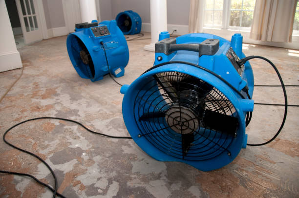 Best Dehumidification and Moisture Control in Forest Ranch, CA