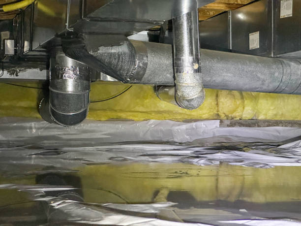 Best Crawl Space Water Damage Solutions in Forest Ranch, CA